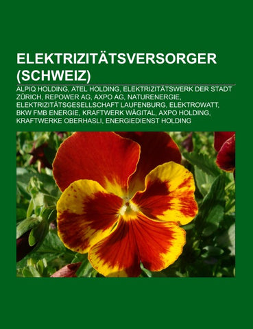 Elektrizitätsversorger (Schweiz)