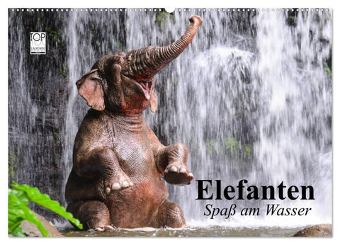Elefanten. Spaß am Wasser (Wandkalender 2026 DIN A2 quer), CALVENDO Monatskalender