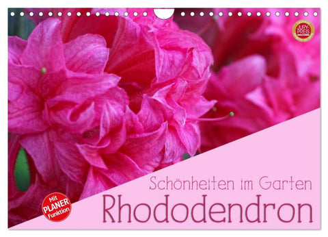 Rhododendron Schönheiten im Garten (Wandkalender 2026 DIN A4 quer), CALVENDO Monatskalender