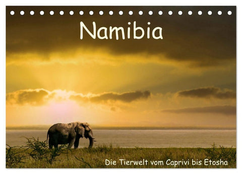 Namibia – Die Tierwelt vom Caprivi bis Etosha (Tischkalender 2027 DIN A5 quer), CALVENDO Monatskalender