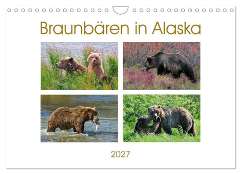 Braunbären in Alaska (Wandkalender 2027 DIN A4 quer), CALVENDO Monatskalender