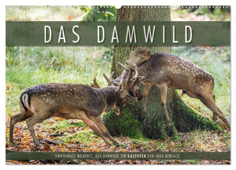 Emotionale Momente: Das Damwild. (Wandkalender 2027 DIN A2 quer), CALVENDO Monatskalender