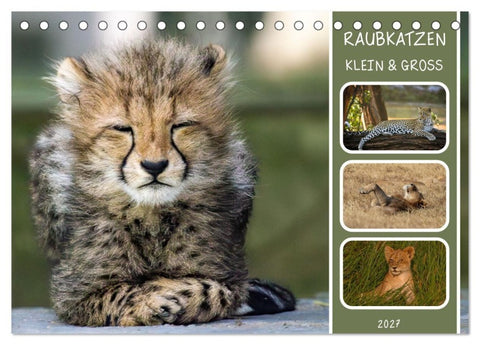 Raubkatzen - groß & klein (Tischkalender 2027 DIN A5 quer), CALVENDO Monatskalender