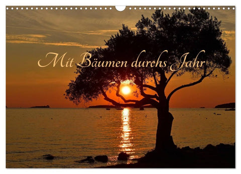 Mit Bäumen durchs Jahr (Wandkalender 2026 DIN A3 quer), CALVENDO Monatskalender