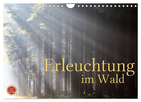 Erleuchtung im Wald (Wandkalender 2026 DIN A4 quer), CALVENDO Monatskalender