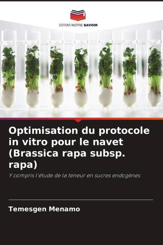 Optimisation du protocole in vitro pour le navet (Brassica rapa subsp. rapa)