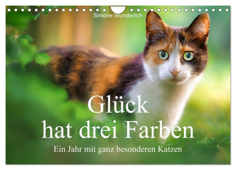Glück hat drei Farben - ein Jahr mit ganz besonderen Katzen (Wandkalender 2027 DIN A4 quer), CALVENDO Monatskalender