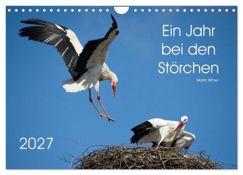 Ein Jahr bei den Störchen (Wandkalender 2027 DIN A4 quer), CALVENDO Monatskalender