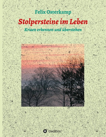 Stolpersteine im Leben - Krisen erkennen und überstehen