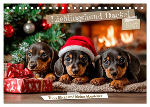 Lieblingshund Dackel (Tischkalender 2027 DIN A5 quer), CALVENDO Monatskalender
