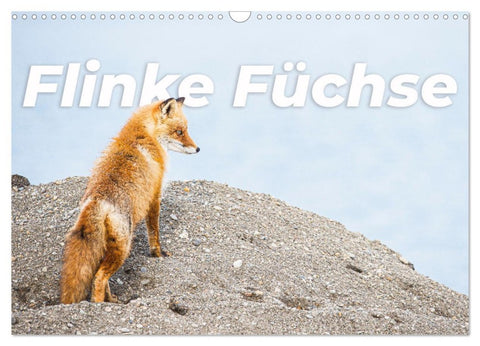 Flinke Füchse (Wandkalender 2026 DIN A3 quer), CALVENDO Monatskalender