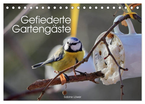 Gefiederte Gartengäste (Tischkalender 2027 DIN A5 quer), CALVENDO Monatskalender