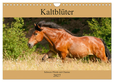 Kaltblüter - Schwere Pferde mit Charme (Wandkalender 2027 DIN A4 quer), CALVENDO Monatskalender