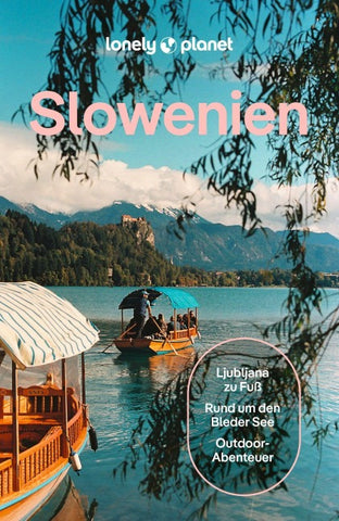 LONELY PLANET Reiseführer Slowenien