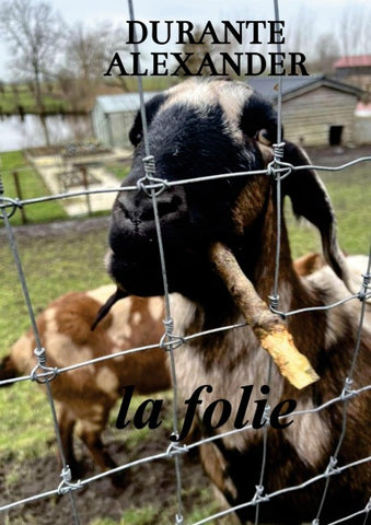 La folie
