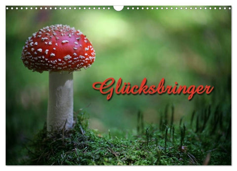 Glücksbringer (Wandkalender 2027 DIN A3 quer), CALVENDO Monatskalender