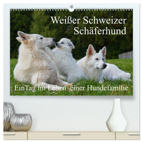 Weißer Schweizer Schäferhund - Ein Tag im Leben einer Hundefamilie (hochwertiger Premium Wandkalender 2027 DIN A2 quer), Kunstdruck in Hochglanz