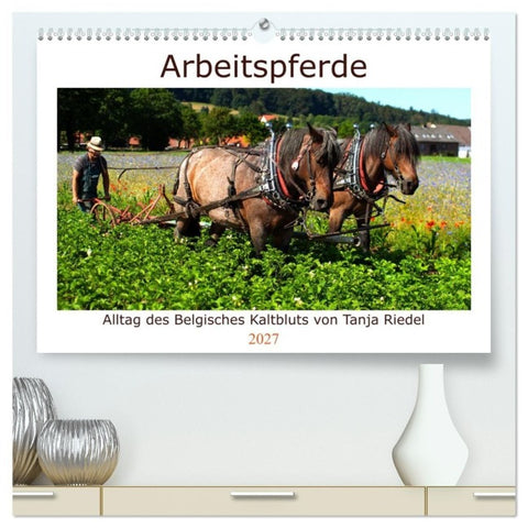 Arbeitspferde - Alltag des belgischen Kaltbluts (hochwertiger Premium Wandkalender 2027 DIN A2 quer), Kunstdruck in Hochglanz