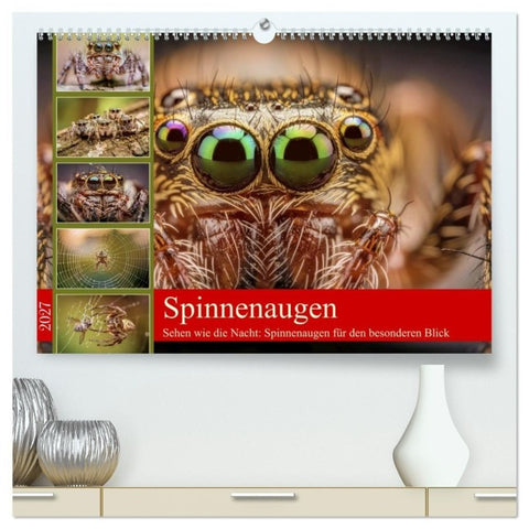 Spinnenaugen (hochwertiger Premium Wandkalender 2027 DIN A2 quer), Kunstdruck in Hochglanz