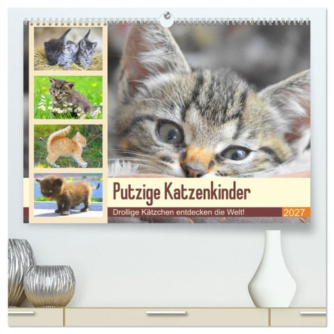 Putzige Katzenkinder. Drollige Kätzchen entdecken die Welt! (hochwertiger Premium Wandkalender 2027 DIN A2 quer), Kunstdruck in Hochglanz