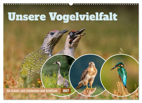 Unsere Vogelvielfalt: Ein Schatz zum Entdecken und Schützen (Wandkalender 2027 DIN A2 quer), CALVENDO Monatskalender