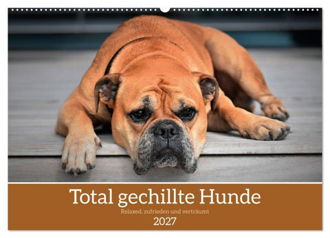 Total gechillte Hunde (Wandkalender 2027 DIN A2 quer), CALVENDO Monatskalender