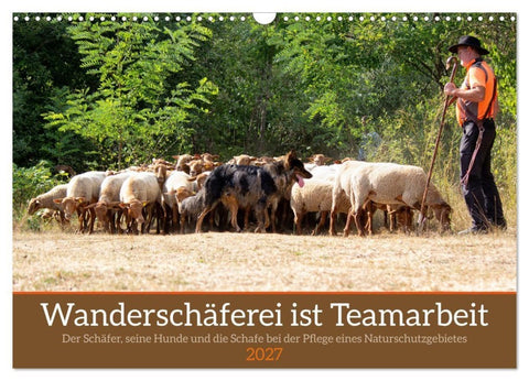 Wanderschäferei ist Teamarbeit (Wandkalender 2027 DIN A3 quer), CALVENDO Monatskalender