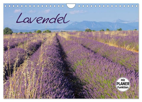 Lavendel (Wandkalender 2027 DIN A4 quer), CALVENDO Monatskalender