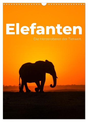 Elefanten - Die Herzeroberer der Tierwelt. (Wandkalender 2027 DIN A3 hoch), CALVENDO Monatskalender