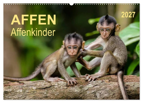 Affen - Affenkinder (Wandkalender 2027 DIN A2 quer), CALVENDO Monatskalender