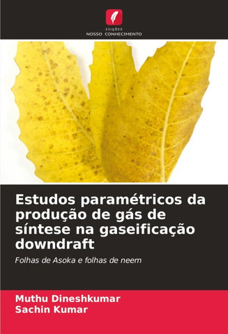 Estudos paramétricos da produção de gás de síntese na gaseificação downdraft