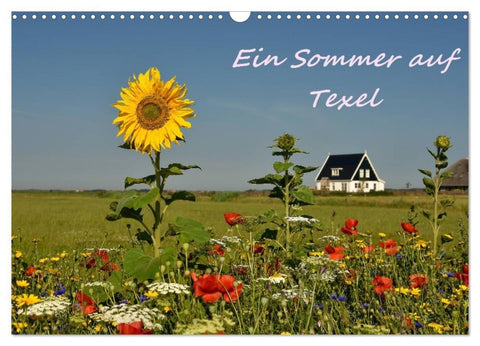 Ein Sommer auf Texel (Wandkalender 2027 DIN A3 quer), CALVENDO Monatskalender