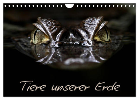 Tiere unserer Erde (Wandkalender 2026 DIN A4 quer), CALVENDO Monatskalender