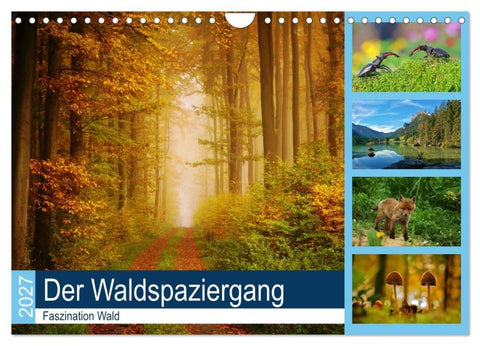 Der Waldspaziergang (Wandkalender 2027 DIN A4 quer), CALVENDO Monatskalender