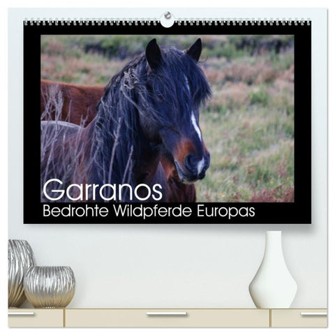 Garranos - Bedrohte Wildpferde Europas (hochwertiger Premium Wandkalender 2027 DIN A2 quer), Kunstdruck in Hochglanz