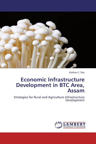Economic Infrastructure Development in BTC Area, Assam