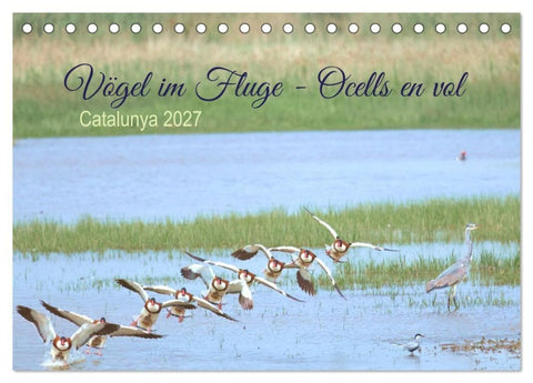 Vögel im Fluge - Ocells en vol (Tischkalender 2027 DIN A5 quer), CALVENDO Monatskalender