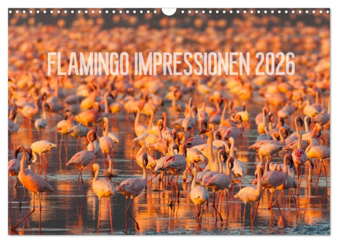 Flamingo Impressionen 2026 (Wandkalender 2026 DIN A3 quer), CALVENDO Monatskalender