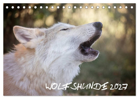 Wolfshunde 2027 (Tischkalender 2027 DIN A5 quer), CALVENDO Monatskalender