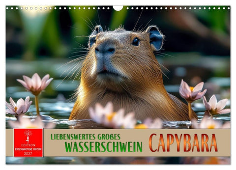 Capybara - liebenswertes großes Wasserschwein (Wandkalender 2027 DIN A3 quer), CALVENDO Monatskalender