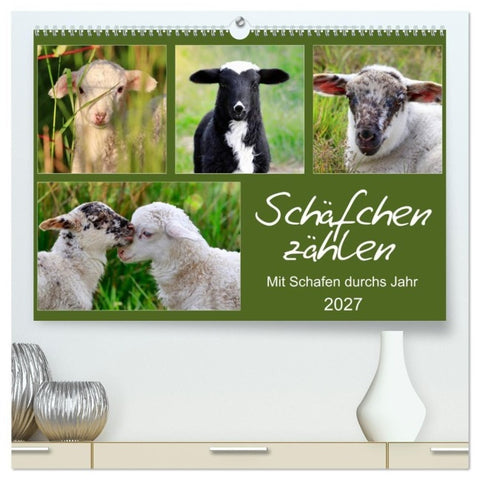 Schäfchen zählen - Mit Schafen durchs Jahr (hochwertiger Premium Wandkalender 2027 DIN A2 quer), Kunstdruck in Hochglanz
