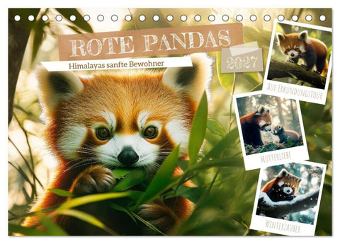 Rote Pandas - Himalayas sanfte Bewohner (Tischkalender 2027 DIN A5 quer), CALVENDO Monatskalender