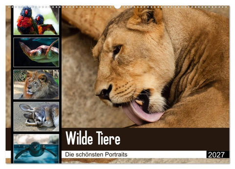 Wilde Tiere - Die schönsten Portraits (Wandkalender 2027 DIN A2 quer), CALVENDO Monatskalender