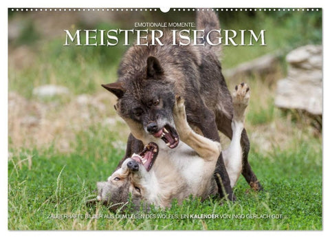 Meister Isegrim (Wandkalender 2027 DIN A2 quer), CALVENDO Monatskalender