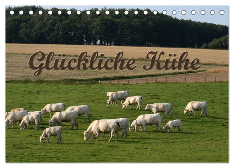 Glückliche Kühe (Tischkalender 2027 DIN A5 quer), CALVENDO Monatskalender