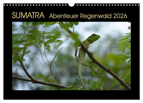 SUMATRA Abenteuer Regenwald (Wandkalender 2026 DIN A3 quer), CALVENDO Monatskalender