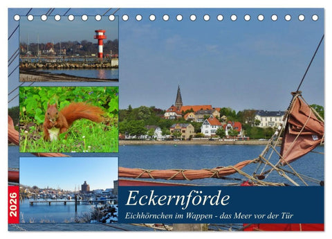 Eckernförde. Eichhörnchen im Wappen - das Meer vor der Tür (Tischkalender 2026 DIN A5 quer), CALVENDO Monatskalender