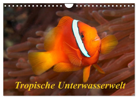 Tropische Unterwasserwelt (Wandkalender 2027 DIN A4 quer), CALVENDO Monatskalender