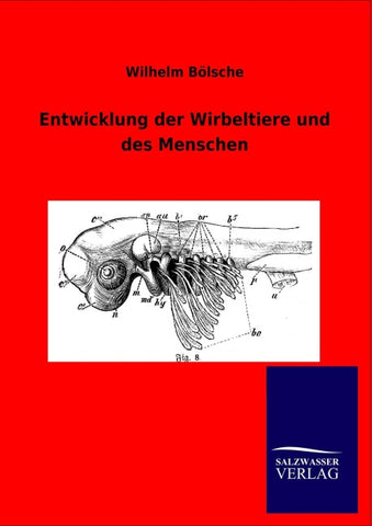 Entwicklung der Wirbeltiere und des Menschen
