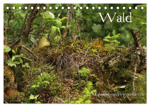 Wald (Tischkalender 2027 DIN A5 quer), CALVENDO Monatskalender